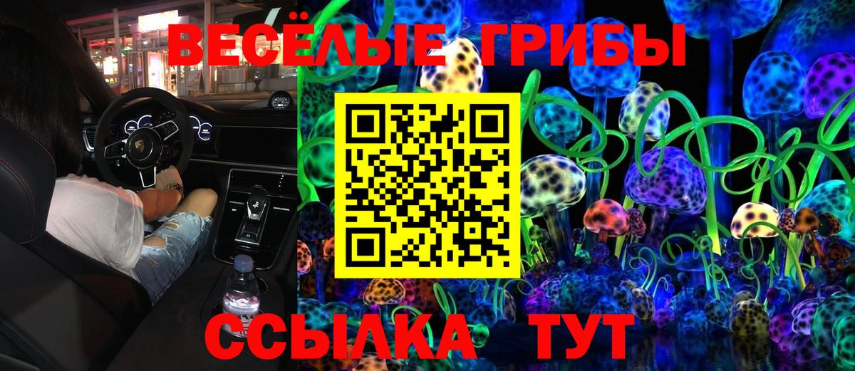 Псилоцибиновые грибы ЛСД  Вход с VPN  где купить наркотик  Моздок 