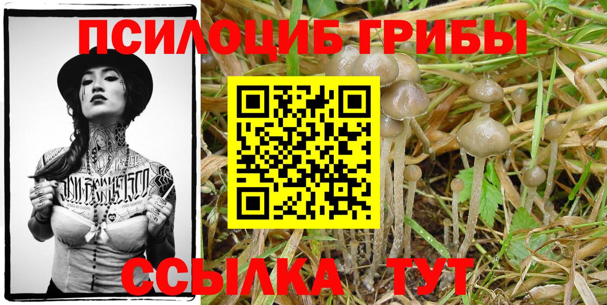 Галлюциногенные грибы ЛСД Моздок